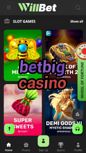 Betbig Casino - Big Win Casino-4x4casino.ydblkf.net